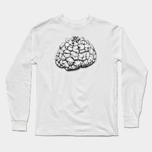 Dioscorea Elephantipes Caudex Long Sleeve T-Shirt